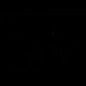 Meet your Posher, Mucette